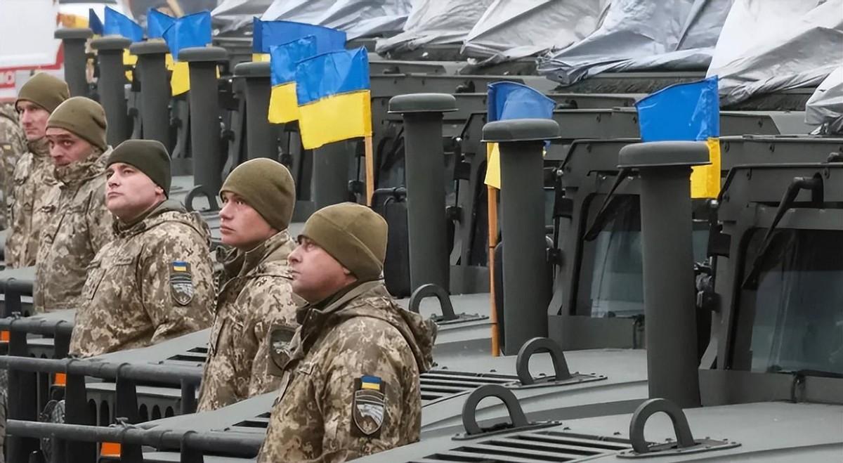 权威解读（人模狗样）本期数字