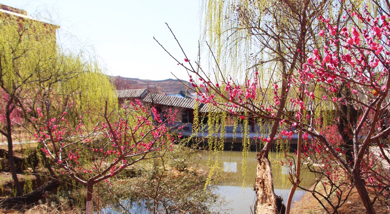 学术阐释（春色满园关不住，佳人妩媚天际来）代表什么准确生肖