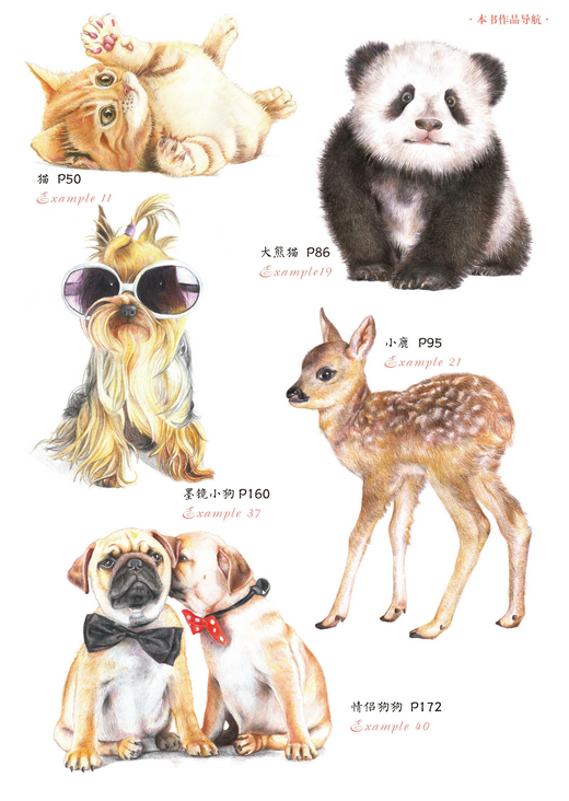 热点剖析（金银财宝一大把）对应那种动物