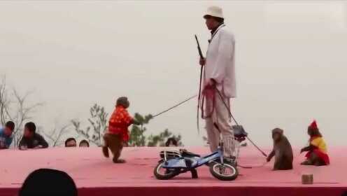 独家视点（金木两行可中特，老猴骑马倒着走。打一数字