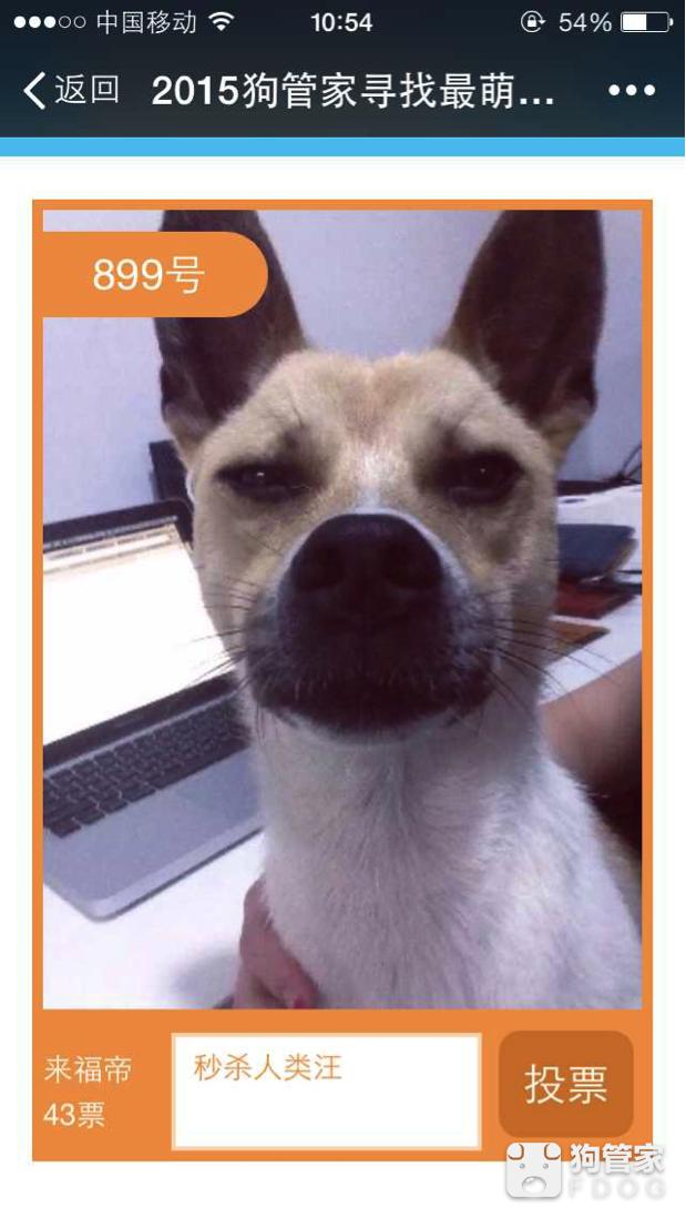 深度剖析（飞沙拶人风堕帻）本期动物