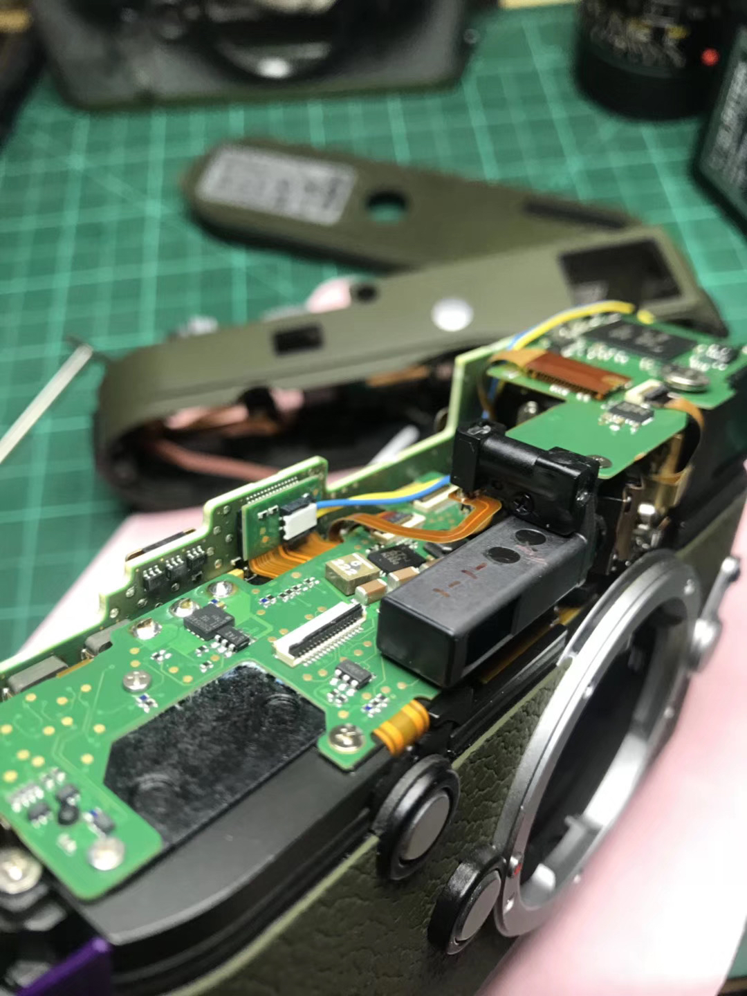 视角拆解（雨过天晴）指什么动物