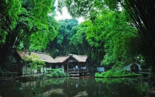 圈内揭秘（今期猪马鸡出特，棠树空留鹤岭前）指哪个生肖