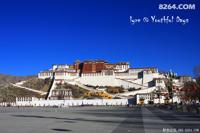 家点评（东征西站）本期生肖