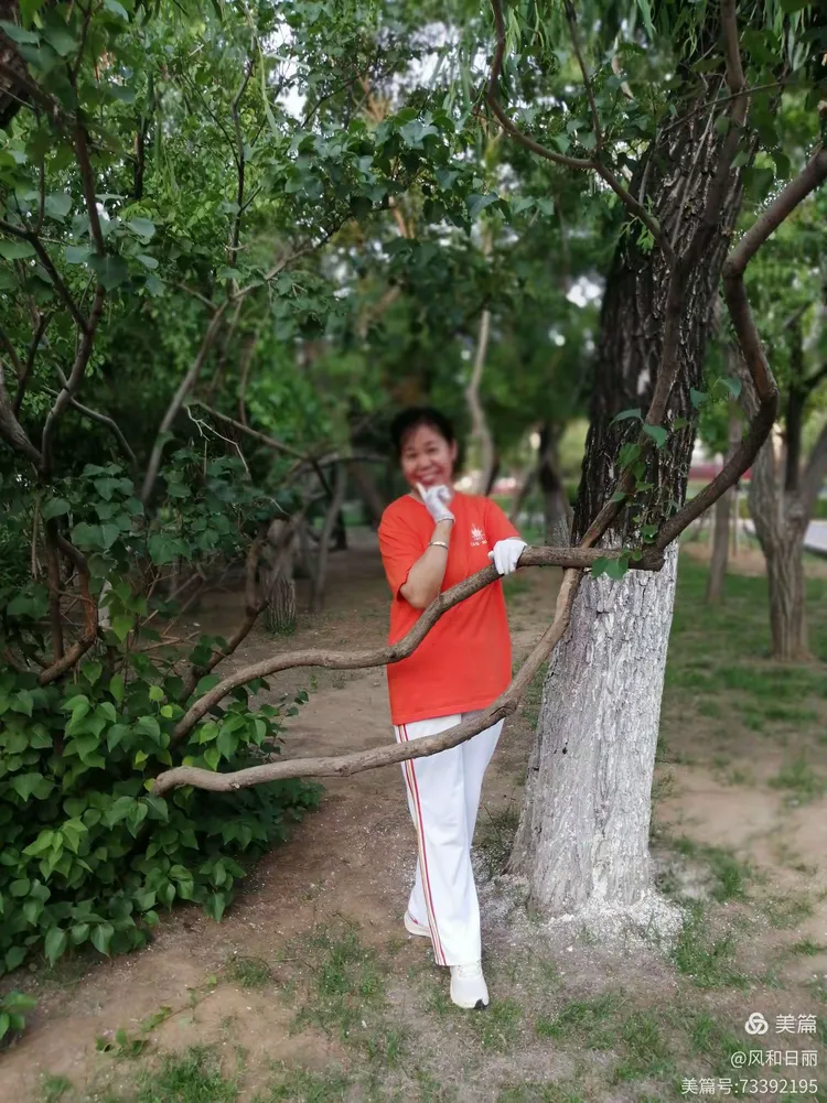 独家观察（风后日丽好劳动）代表什么动物