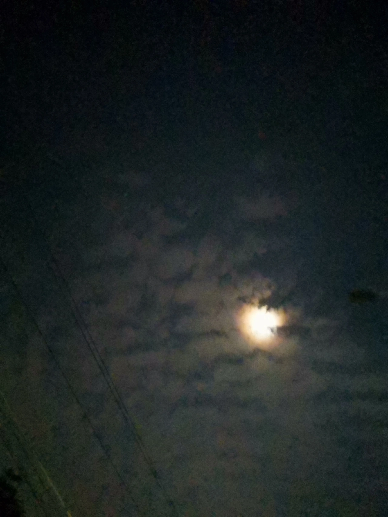 逐项解读（披星戴月）打一最佳最佳生肖词语