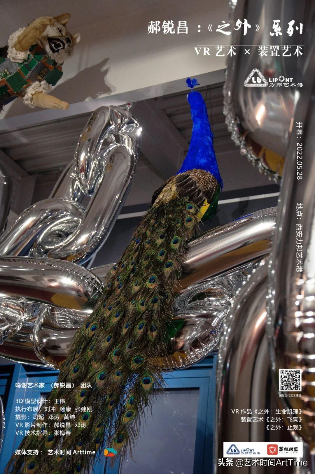 特讯（土木之数看好它，斗胜争飞出手高）指打代表一最佳什么生肖