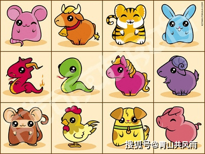 深度剖析（捧上九字）指什么生肖