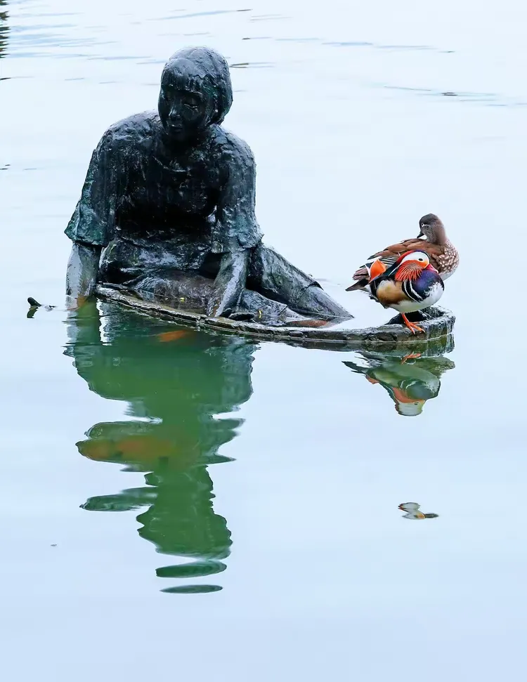 权威解读（相映成趣）猜动物