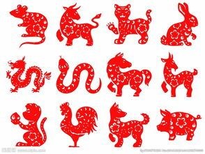 权威解读（风回五两月逢三）代表什么生肖