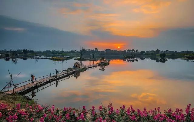 内幕披露（五湖四海）代表什么动物