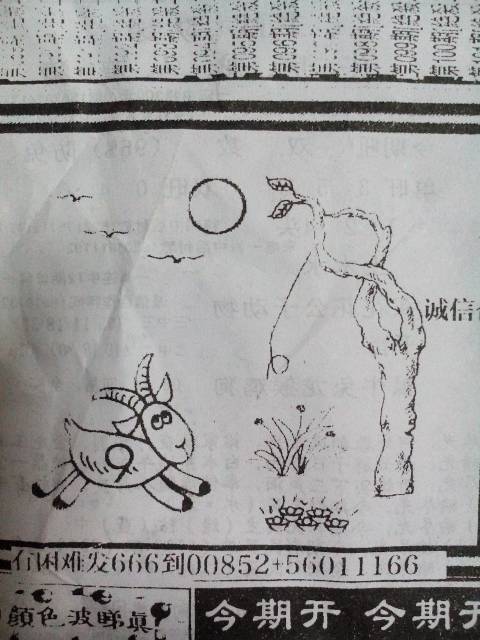 全面阐释（雨过天晴）猜生肖