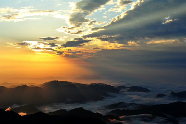 深度剖析（君不用问知基数，只观浮云风雨目）对应那种动物