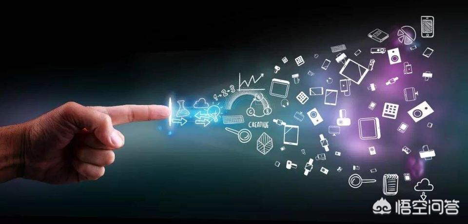 观点输出（捧上九字）正确答案动物