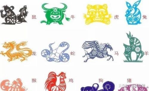 专家解析（丢盔卸甲）指什么生肖