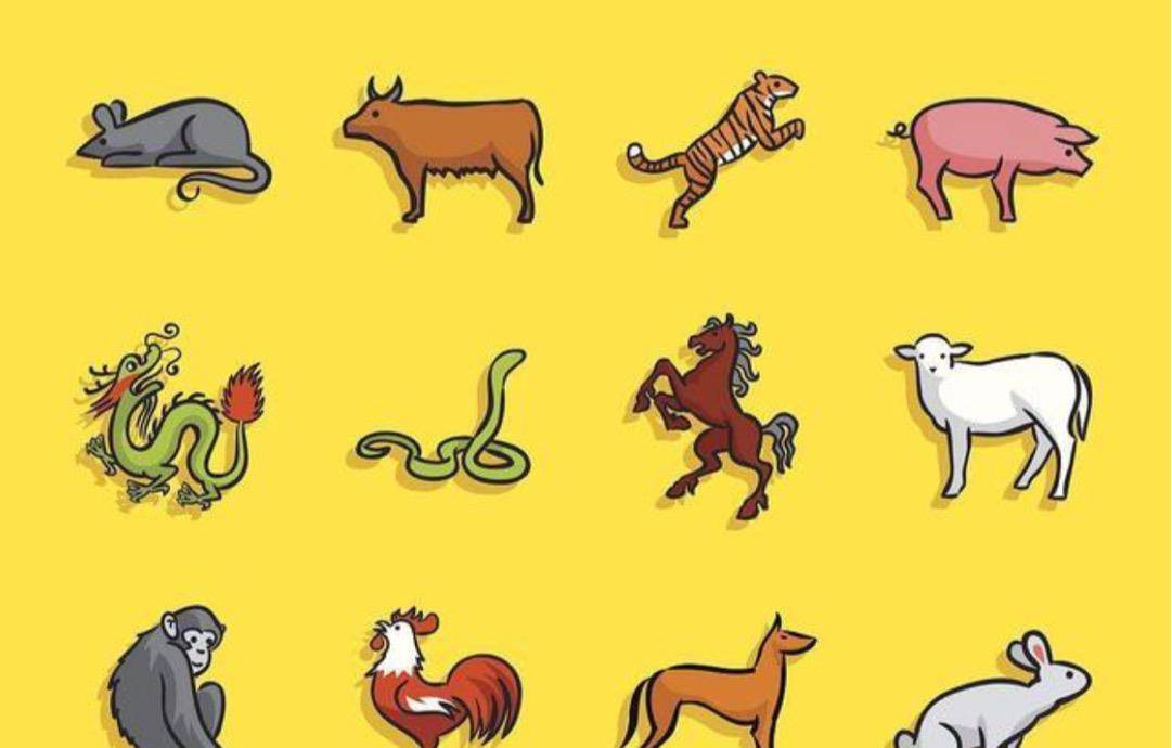 行家点评（其乐无穷）开过什么生肖