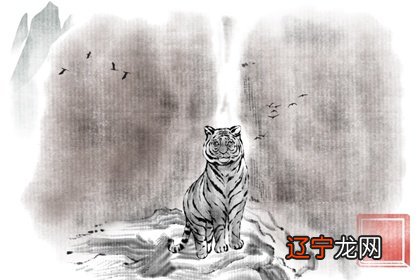 一手资讯（天黑风急虎盗兔，馬食夜草猴旁颧）打一准确数字