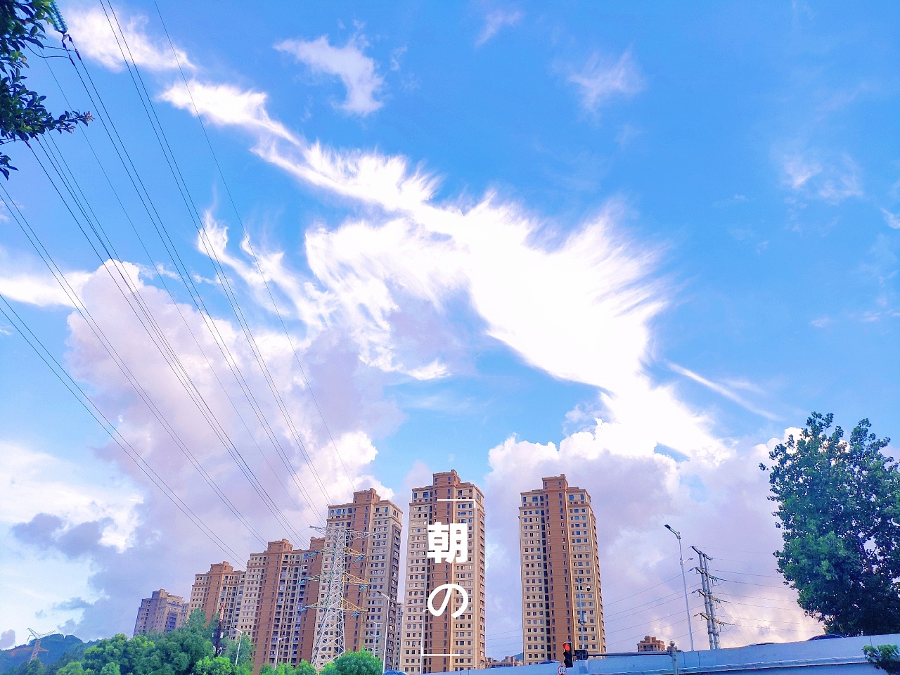 资深分析（雨过天晴）是什么生肖