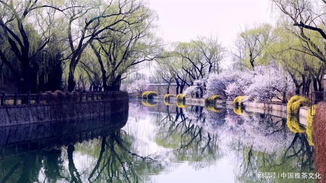 学术阐释（春色满园关不住，佳人妩媚天际来）代表什么准确生肖