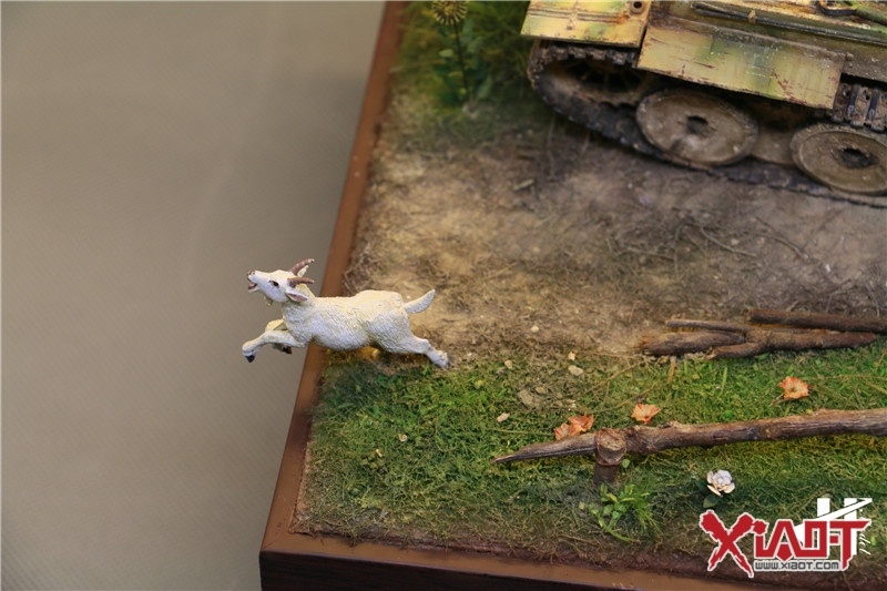 首发资讯（羊落虎口）指打代表一最佳什么生肖