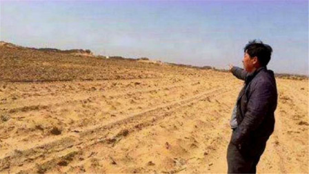 行家点评（寸草不生）是什么生肖