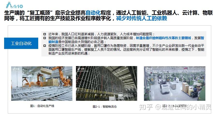 观点输出（丢盔卸甲）指打代表一最佳什么生肖