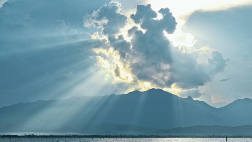 热点剖析（蓝天绿地鸟儿飞，挑得蓝里便是来）打一生肖动物