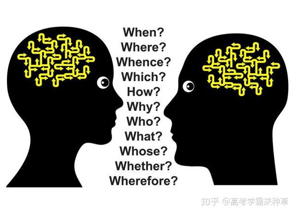 观点输出（捧上九字）正确答案动物