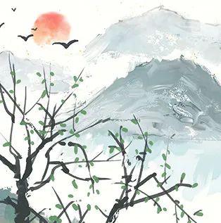 视角拆解（梨花落后二清明，三五少年容易老）猜一准确数字