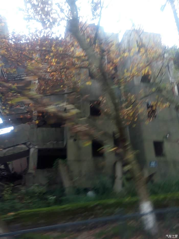 资深分析（稀里哗啦）打一生肖动物