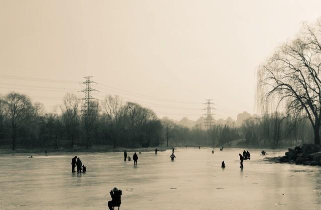 独家视点（寒风凛凛）最正确生肖