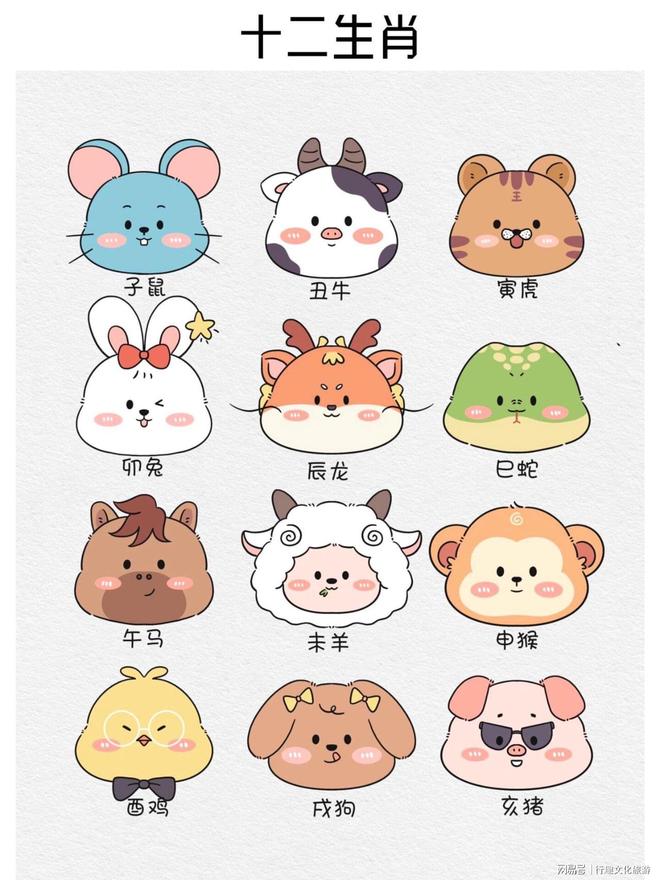 深度剖析（捧上九字）指什么生肖