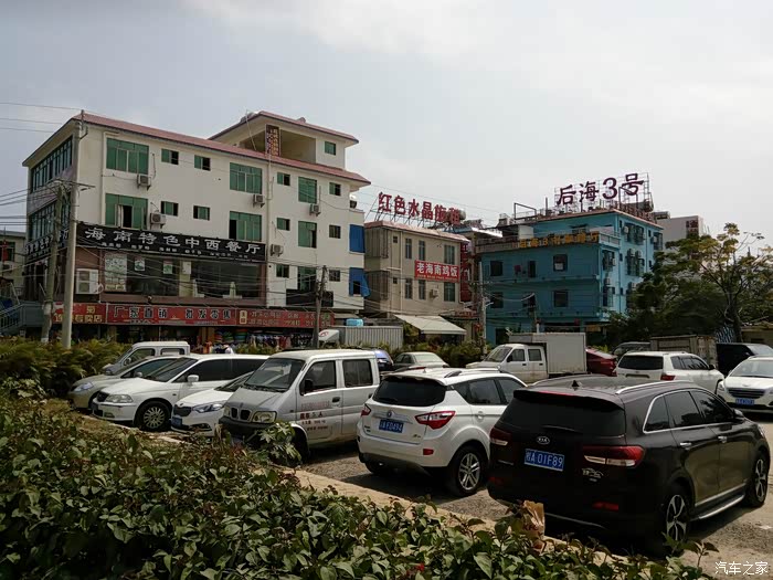 逐项解读（东征西站）打一动物