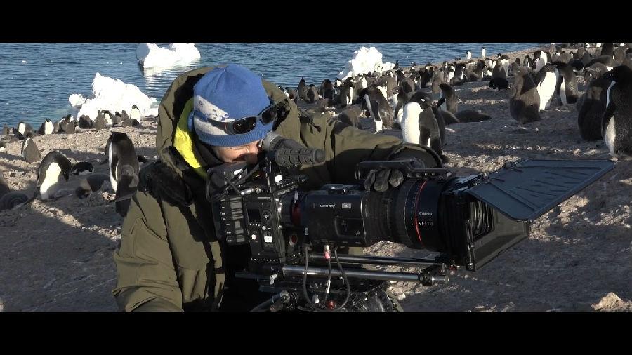 行家点评（玄机中看二九合，老鸹窝里出凤凰）打一准确动物