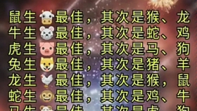 资深分析（一本正经）猜生肖数字