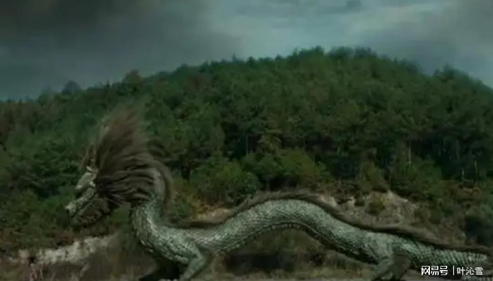 热点剖析（卷土重来龙蛇看）开过什么生肖