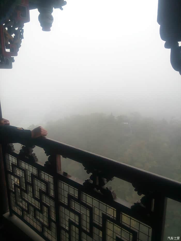 热点剖析（稀里哗啦）代表什么动物