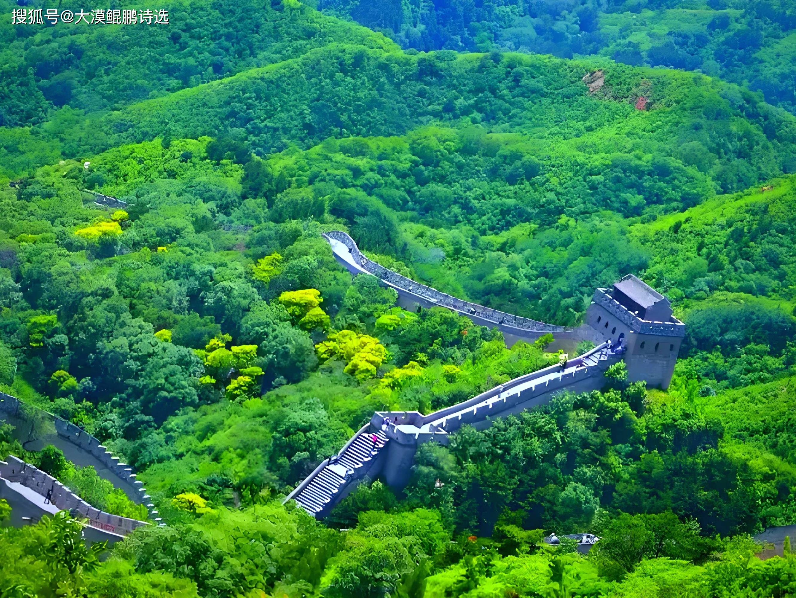 深度剖析（欲钱飞上蓝天空，长城内外尽朝绿）打一准确生肖动物