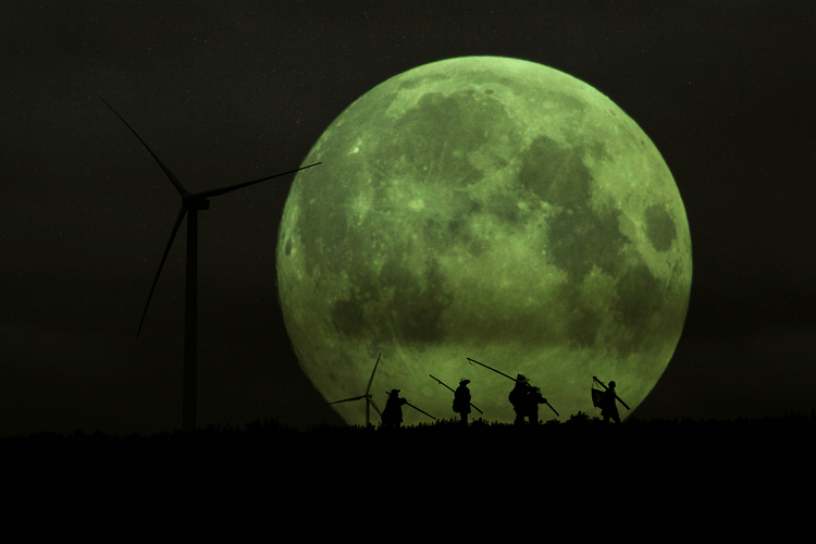 技术阐释（披星戴月）指啥动物