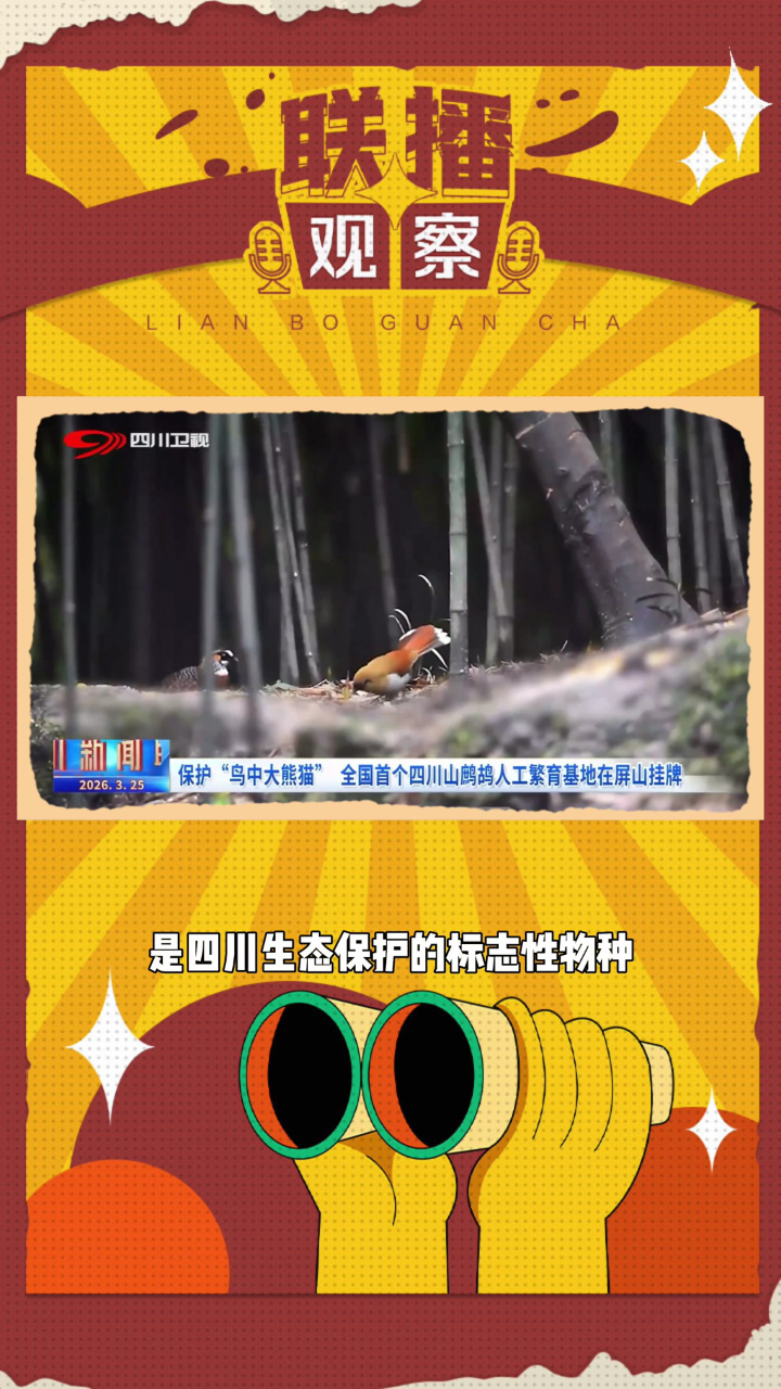 独家观察（稀里哗啦）猜一生肖