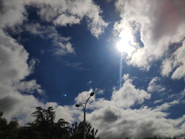 趋势研判（雨过天晴）代表什么准确生肖