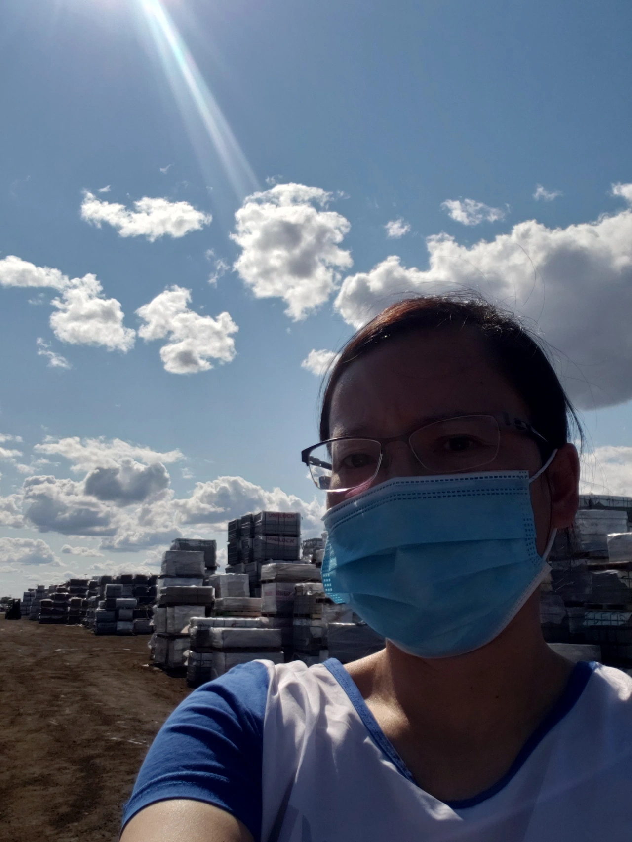 独家观察（风后日丽好劳动）代表什么动物