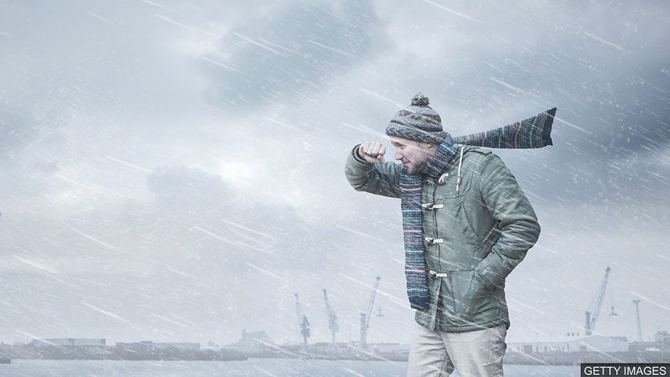 独家视点（寒风凛凛）最正确生肖