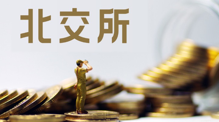 深度报道（一分神似）比喻什么动物