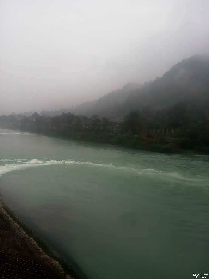 热点剖析（稀里哗啦）代表什么动物