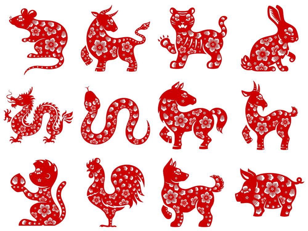 视角拆解（卷土重来龙蛇看）打一生肖动物