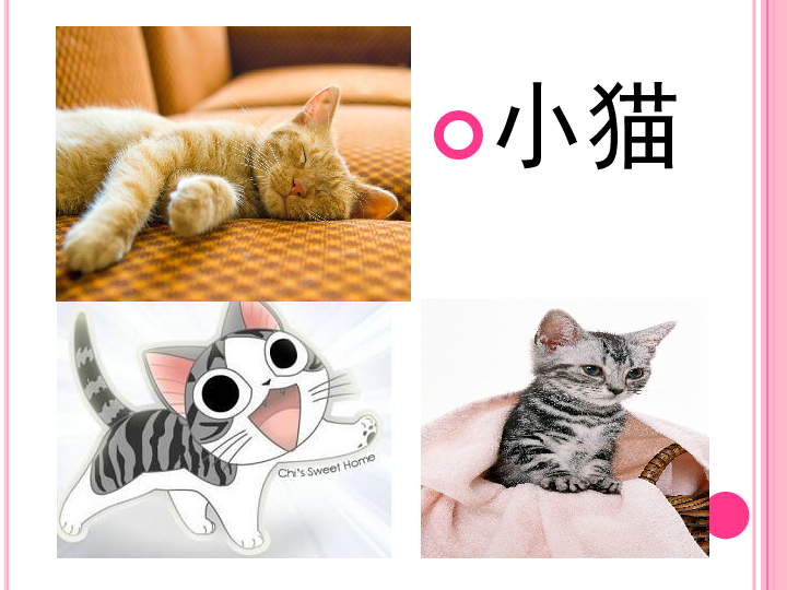 独家稿件（天黑风急虎盗兔，馬食夜草猴旁颧）打一动物谜底