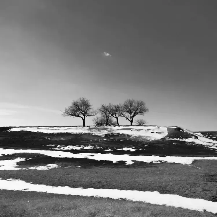 独家视点（寒风凛凛）最正确生肖