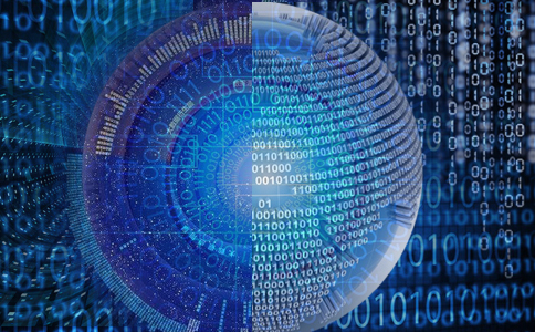 深度剖析（龙飞凤舞）打一准确动物