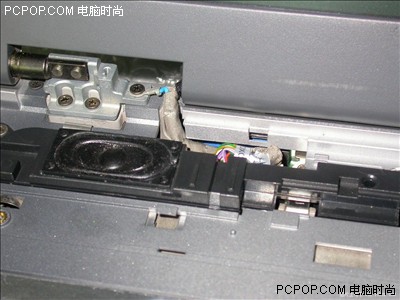 视角拆解（风后日丽好劳动）猜一准确动物